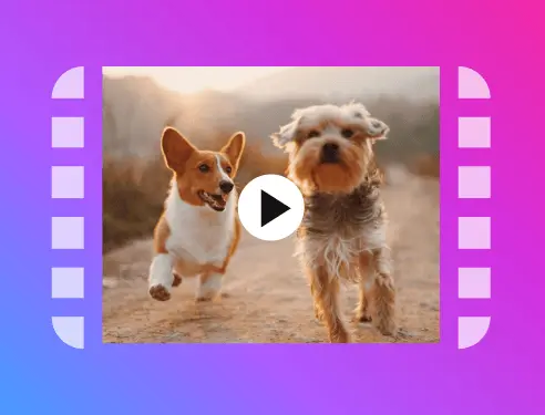 Baixar Video Instagram